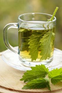 Nettle Leaf Tea Recipe and Other Nettle Leaf Recipes Nettle Leaf Tea, Nettle Tea, Foods For Clear Skin, Creatinine Levels, Homemade Soda, Stinging Nettle, Glowing Complexion, Detox Recipes, Herbal Tea