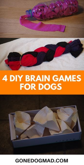 Nosework Games For Dogs, Dog Boredom Busters Diy, Games For Dogs, Canine Enrichment, Dog Boredom, Homemade Dog Toys, Brain Games For Dogs, Dogs Diy Projects, Diy Dog Toys