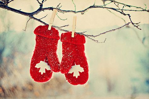 Red Mittens, Canadian Winter, Hello December, Winter Love, Canada Day, Winter Wonder, Noel Christmas, Baby Cold, Winter Photography