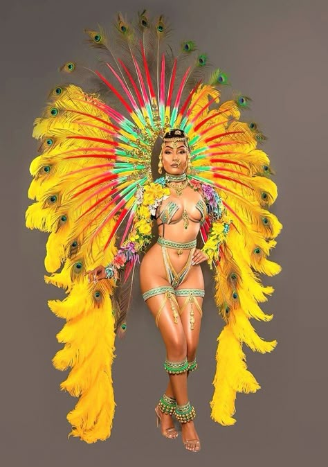 Carnivale Costume, Brazilian Carnival Costumes, Carnival Diy, Carribean Carnival Costumes, Carnival Outfit Carribean, Carnival Brazil, Caribbean Carnival Costumes, Feather Outfit, Carnival Dancers