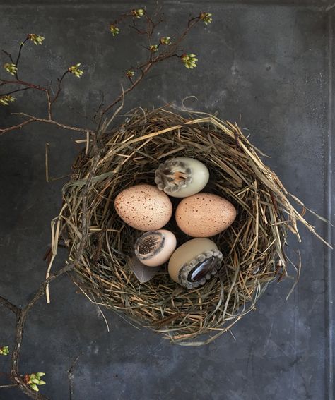 Eggs In Nest, Birds Nest Eggs Breakfast, Bird In Nest, Green Academia Aesthetic, Birds In Nest, Bird Nest With Eggs, Green Academia, Easter Nests, Academia Aesthetic