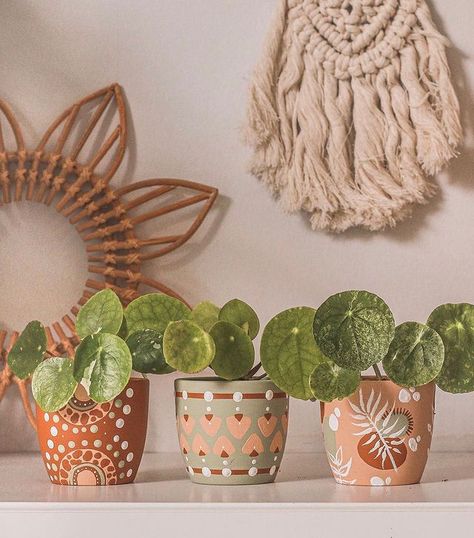 Plant Pot Designs, Terracotta And Green, Plant Pot Design, Plant Pot Diy, Pilea Peperomioides, Painted Pots Diy, Painted Plant Pots, Painted Terra Cotta Pots, Pottery Painting Designs