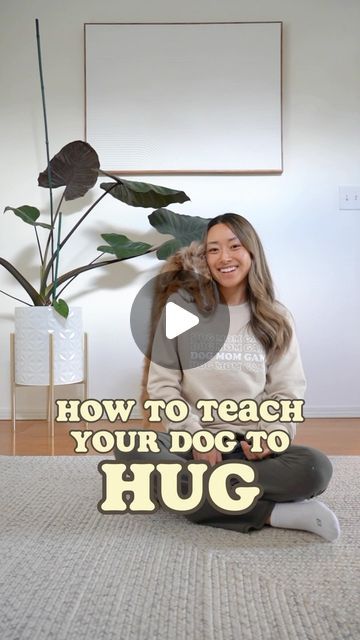 ayce the aussie & aria the golden gal 🐾 on Instagram: "HOW TO TEACH YOUR (SMALL) DOG TO HUG 

⭐️ Save this post for future reference! 

After I shared my tutorial on how I taught Aria hug, many of you asked me how I would teach a smaller dog so here’s how I taught Ayce hug. 

Step 1. Throw a treat behind you. 
Step 2. While your dog is grabbing the treat, used another treat to lure your dog onto your shoulder. 
Step 3. Reward when both their paws are on your shoulder. Rapid fire treats to encourage your dog to stay in that position. 
Step 4. Fade away the treat lure and switch to a verbal and hand command. 

Hope these tips help! Tag and share to someone you think should might be struggling with a spicy teen as well ❤️ Follow @ayce.and.aria for more training tips and videos!
.
.
.
#dogtra Dogs Hugging, Dog Commands, Dog Steps, Puppy Stuff, Smart Dog, Dog Hacks, Dog Trainer, Medium Dogs, How To Train Your