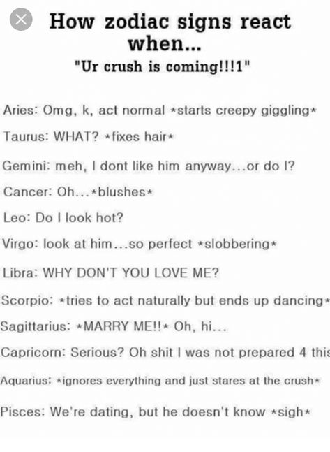 Find Your Zodiac Sign, Horoscope Memes, Zodiac Sign Fashion, Zodiac Funny, Zodiac Signs Sagittarius, Zodiac Signs Leo, Zodiac Signs Dates, Zodiac Sign Traits, Zodiac Signs Gemini