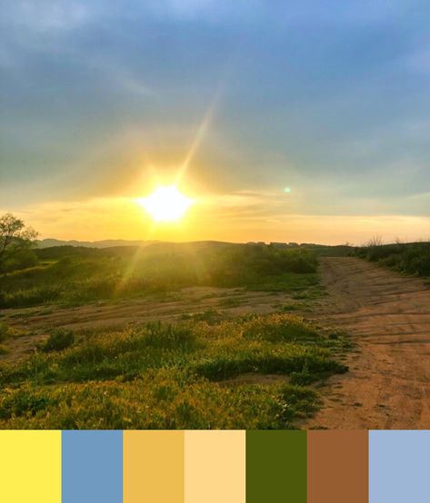 Sunny days ahead with this bright color scheme Sunny Day Color Palette, Sunny Color Palette, August Colors, Bright Color Schemes, Summer Afternoon, Day And Time, Theme Color, 3d Rendering, Morning Light