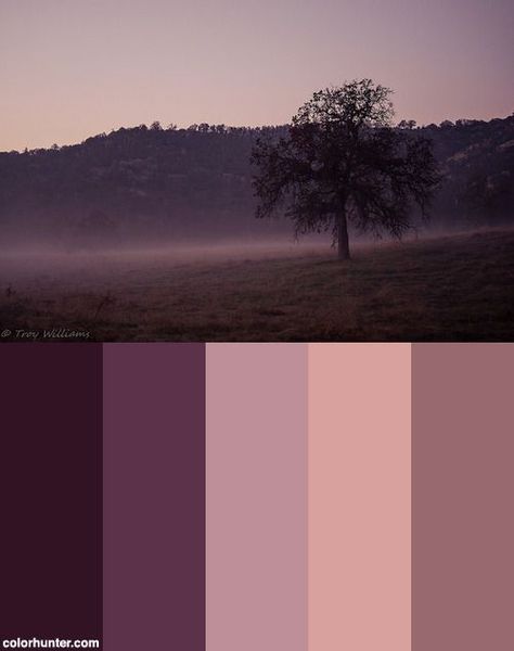 Colors That Go With Plum, Plum Color Palette Colour Schemes, Purple Palette Colour Schemes, Purple Pallete Color, Color Palette Mauve, Aubergine Color Palette, Plum Color Scheme, Purple Colour Scheme, Warm Purple