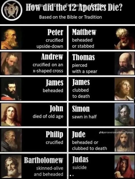 Bible Genealogy, The 12 Apostles, Catholic Memes, Revelation Bible, 12 Apostles, The Apostles, Bible Study Topics, Bible Study Help, Bible Images