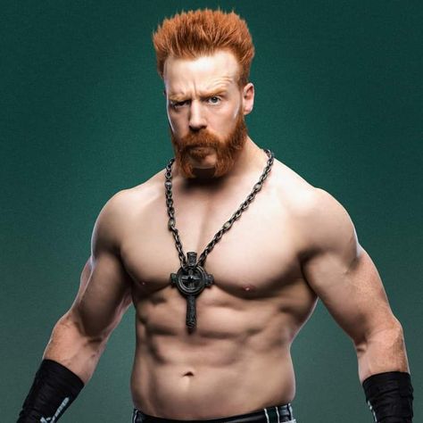 Wwe Sheamus, Celtic Warrior, Father Ted, Celtic Warriors, Hard Working Man, Carrot Top, Jeff Hardy, Wwe Wrestlers, Hard Working