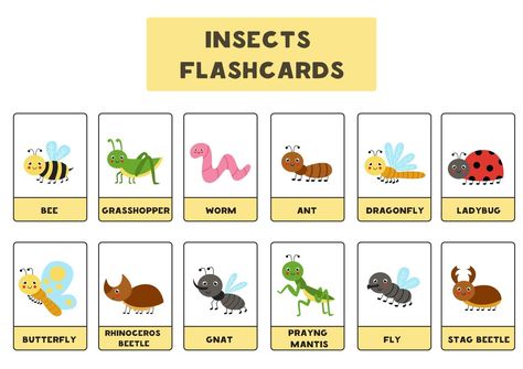 Insects With Names, Insects Illustration, Cute Insects, Educational Math Games, Math Games For Kids, Flashcards For Kids, Match Colors, Butterflies Flying, Color Games