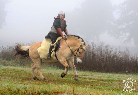 Viking horse Norweign Fjord Heart System, Viking Horse, Viking Chess, Viking Character, Fjord Horse, Beautiful Norway, Horse Rescue, Big Friends, Types Of Horses