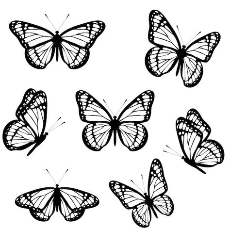 Vector set of black and white monarch bu... | Premium Vector #Freepik #vector #monarch-butterfly #moth #monarch #butterfly-illustration Simple Monarch Butterfly Drawing, Butterfly Illustration Simple, Monarch Tattoo, Easy Butterfly Drawing, Monarch Butterfly Tattoo, Butterfly Tattoo Stencil, Fly Drawing, Butterfly Black And White, Butterfly Sketch