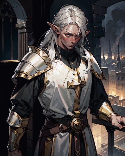 elf cleric/paladin Half Elf Dnd, Dnd Paladin, Male Elf, Half Elf, Fantasy Portraits, Dungeons And Dragons Characters, Dnd Art, Fantasy Male, D&d Dungeons And Dragons