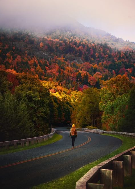 15 Best Places For Fall In North Carolina - Southern Trippers Ashville North Carolina, Greenville North Carolina, Craggy Gardens, Winston Salem North Carolina, Mountain Vibes, North Carolina Travel, Boone Nc, Nc Mountains, Wilmington North Carolina