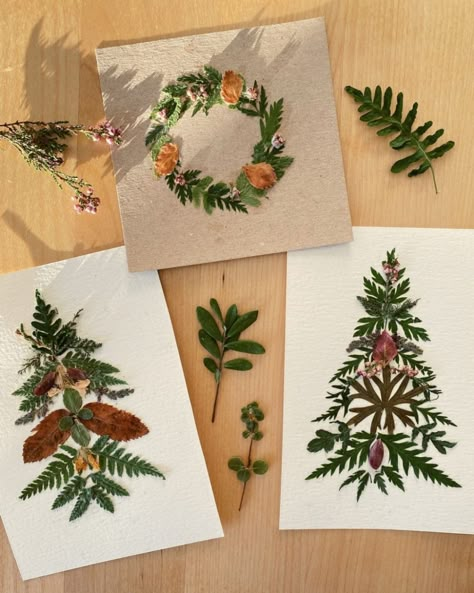 Creative Diy Christmas Cards, Christmas Pressed Flower Art, Pressed Flowers Christmas Card, Christmas Cards Decor, Christmas Crafts Ideas Diy, Pressed Flowers Christmas, Christmas Postcards Diy, Floral Christmas Cards, Handmade Xmas Cards Ideas