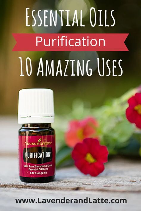 Purification Essential Oil Young Living, Young Living Purification, Purification Oil, Purification Essential Oil, Essential Oils For Kids, Essential Oil Diffuser Blends Recipes, Young Living Essential Oils Recipes, Yl Oils, Living Essentials Oils