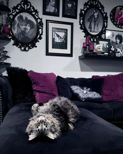 Vampy Living Room, Black Aesthetic Home Decor, Goth House Interior, Garage Halloween Party, Spooky Room Decor, Gothic Living Rooms, Outdoor Decorations Halloween, Taxidermy Diy, Goth Living Room