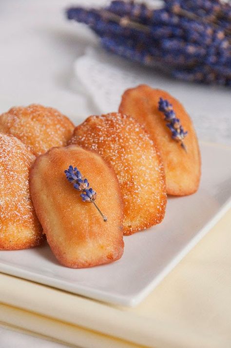 Herbal Eats, Lavender Madeleines, Madeleines Recipe, Madeline Cookies, Baking Challenge, Madeleine Recipe, Madeleine Cookie, Tea And Crumpets, Lavender Recipes