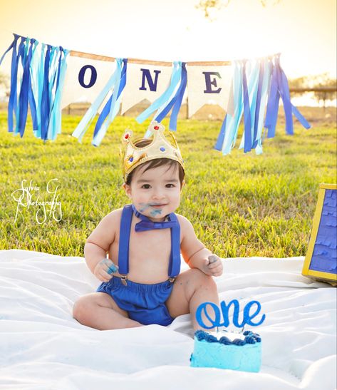 Prince Theme First Birthday, Cakesmash Photoshoot Themes, Summer Birthday Themes, 1st Birthday Boy Themes, Prince Birthday Theme, Boys 1st Birthday Cake, Cake Smash Theme, Baby Birthday Photoshoot