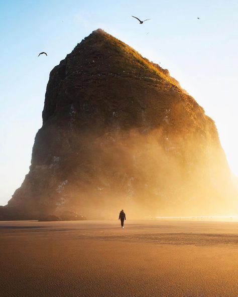 #earth Oregon Photoshoot, Coast Photography, Coast Fashion, Tidal Pool, Cannon Beach Oregon, Fashion Usa, Cannon Beach, Sunset Art, Travel Trip