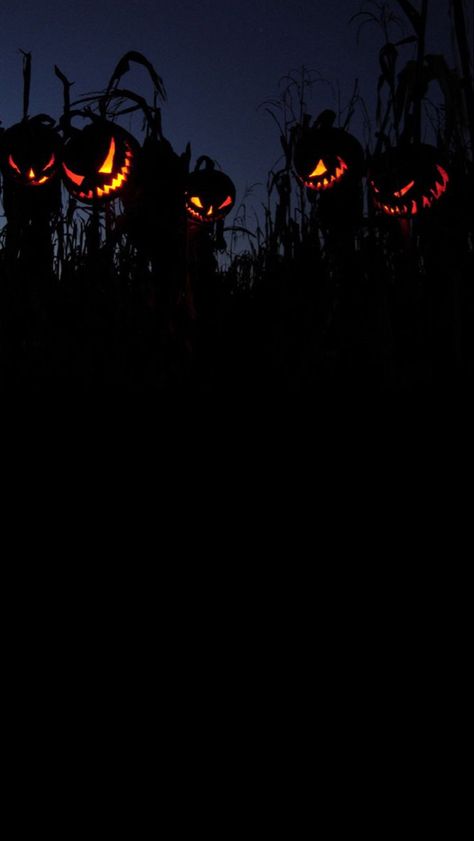 Iphone Wallpaper Spooky Aesthetic, Halloween I Phone Wallpapers, Halloween Aesthetic Phone Wallpaper, Dark Halloween Iphone Wallpaper, Halloween Dark Aesthetic Wallpaper, Halloween Screensavers Wallpapers, Halloween Wallpaper Iphone Aesthetic Dark, Spooky Phone Backgrounds, Dark Fall Wallpaper Iphone