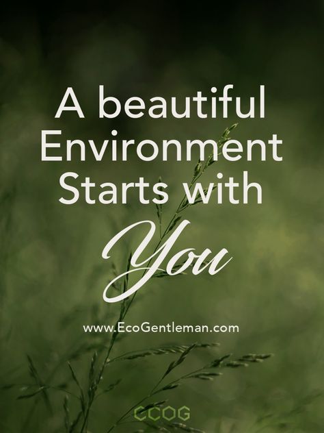 ♂100+ environmental green quotes encourage you to live a sustainable healthy life – Beautiful environment starts with you. #quote #greenquote #naturequote #earthquote #wisdom #environment Go Green Slogans, Natural Healing Quotes, Healing Quotes Health, Masculine Contemporary, Quotes Courage, Nature Quotes Beautiful, Eco Quotes, Conversation Quotes, Sustainability Quotes