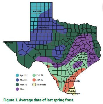 Texas Planting Zones, East Texas Gardening, South Texas Gardening, Texas Vegetable Garden, Texas Vegetable Planting Guide, Best Vegetables To Grow In North Texas, Gardening In Texas, Central Texas Gardening, Spring Planting Guide