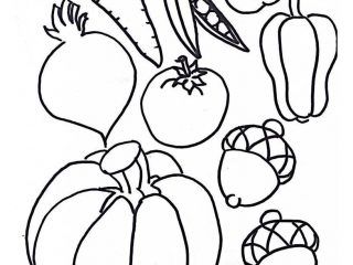 Horn Of Plenty Craft For Kids, Cornucopia Craft For Kids, Cornucopia Template, Cornucopia Craft, Craft For Thanksgiving, Thanksgiving Art Projects, Vegetable Coloring Pages, Harvest Celebration, Thanksgiving Coloring