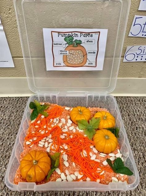 Fall Science Activities Preschool Sensory Play, Pumpkin Sensory Table Preschool, Fall Sensory Bin Ideas For Kindergarten, October Sensory Bin Kindergarten, Preschool Fall Science Center, Fall Theme Science Preschool, Preschool Pumpkin Art Activities, Diy Fall Sensory Bin, Mini Pumpkin Activities Preschool