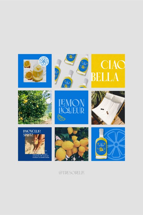 If Tre Sorelle was real, their marketing team would capitalize on the bright and bold color palette throughout their collatoral. Their Instgram grid would be filled with idyllic imagery of fresh lemons, hot summer days, and lush greenery. #branding #marketing #instagramdesign #instagramgrid #marketingcollateral #branddesign #logodesign #brandidentity #brandstrategy #limoncellobrand #logodesign #logo #limoncello #alcoholbranding Brand Imagery Inspiration, Campaign Color Palette, Amalfi Color Palette, Summer Social Media Design, Feed Color Palette, Lemon Color Palette, Lemon Branding, 12 Color Palette, Summer Branding