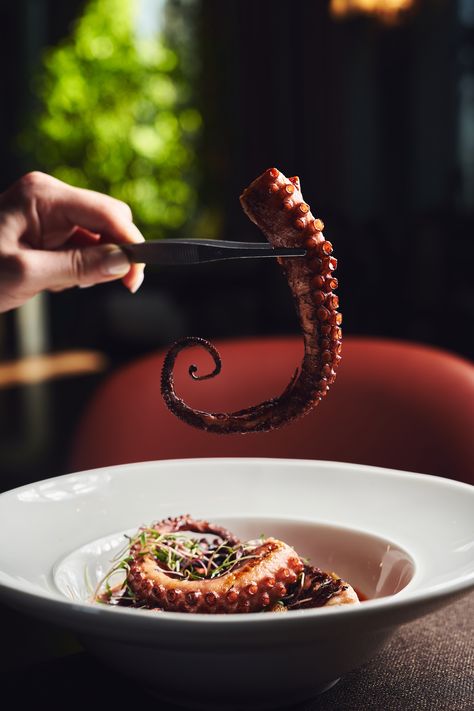 Octopus Food Photography, Seafood Photoshoot, Seafood Photography, Squid Recipes, Elegant Food, Food Photoshoot, Restaurant Photography, Restaurant Photos, Food Drink Photography