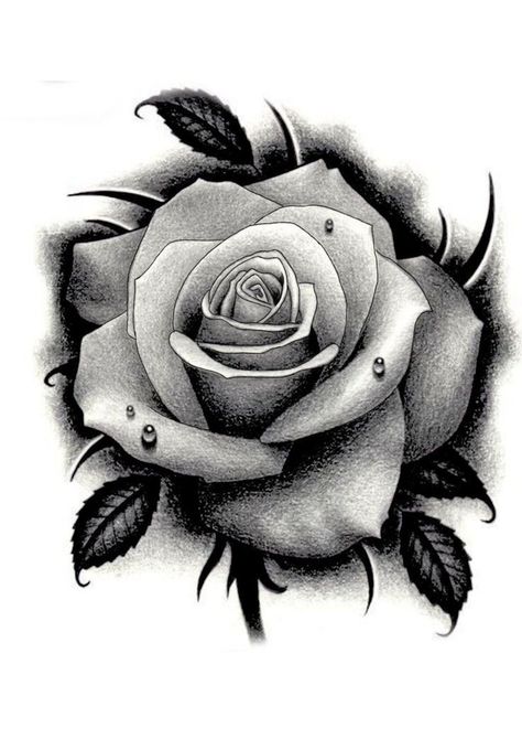 Black And Grey Rose Tattoo, Tattoo Pencil, White Rose Tattoos, Realistic Rose Tattoo, Black And Grey Rose, Rose Flower Tattoos, Rose Drawing Tattoo, Rose Hand Tattoo, Rose Tattoos For Men