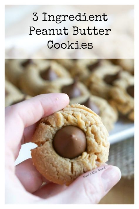 Three Ingredient Peanut Butter Cookies, 3 Ingredient Peanut Butter Cookies, 3 Ingredient Recipe, Peanut Butter Kiss, Amazing Cookie Recipes, Peanut Butter Kiss Cookies, 3 Ingredient Cookies, Best Peanut Butter Cookies, Peanut Butter Blossom Cookies