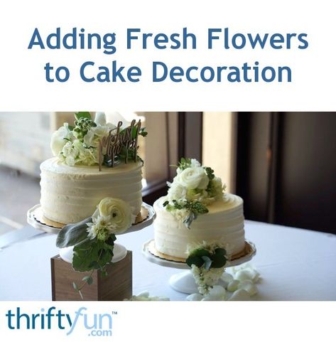 Here is a tutorial on how to add fresh flowers to a cake while also making the cake food safe. Edible Greenery For Cakes, Double Layer Cake, Decorator Frosting, Fresh Cake, Fresh Flower Cake, Wedding Cake Decorations, Wedding Cakes With Flowers, November 11, Wedding Catering