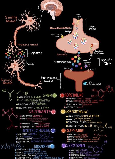 Med School Study, Learn Biology, Psychology Notes, Medical School Life, Study Biology, Psychology Studies, Basic Anatomy And Physiology, Nurse Study Notes, Biology Facts