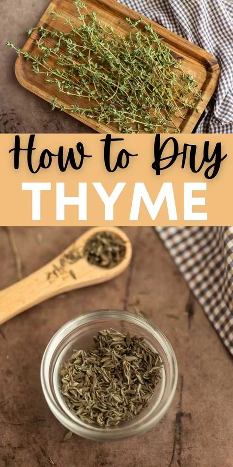 If you are wandering How to Dry Thyme these steps will take your fresh thyme to dry thyme easily. Dry thyme is easy to store in your pantry. Learn how to dry thyme in the oven. I love growing fresh herbs and drying thyme leaves is a great way to save and use fresh thyme. #eatingonadime #kitchentips #dryingherbs #thyme Drying Thyme, Thyme Seasoning, Store Fresh Herbs, Drying Fresh Herbs, Cooking With Fresh Herbs, Thyme Herb, Eating On A Dime, Freezing Herbs, Easy Vegan Lunch