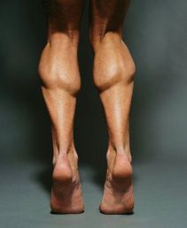 Learn What To Do With Tight Calves When Running! Calf Muscle Workout, Calf Exercises, Big Calves, Athletic Training, Calf Muscles, Fitness Blog, Muscle Fitness, Leg Workout, Fitness Nutrition