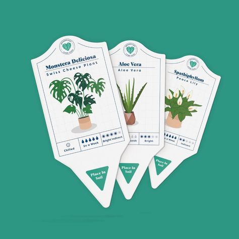 Houseplant Care Tags Begonia Maculata, Houseplant Care, Prayer Plant, Cheese Plant, Growing Plants Indoors, Indoor Plant Care, Plant Tags, Plant Labels, Peace Lily