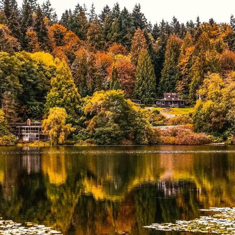 Vancouver• BC•🇨🇦 on Instagram: “🍃🍁I always see Autumn as Mother Nature teaching us how to let things go... 🍁 Took this shot last September. Hope you all enjoy it.…” Deer Lake Park Burnaby, Burnaby British Columbia, Vancouver Autumn, Burnaby Canada, Hart House, Canada Road Trip, Canada Eh, Live Cricket, Lake Park