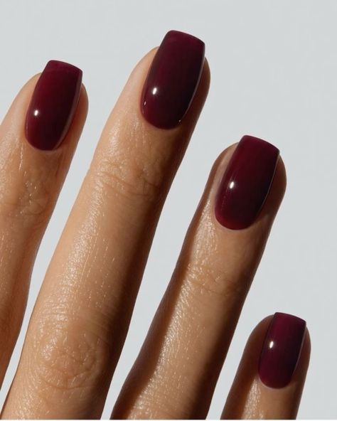 Reminder: You've probably got a week before everything gets too busy to get your Christmas nails done. Here's some inspo 👉⁣ ⁣ #nailinspo #nails #christmasnails Maroon Simple Nails, Fall Nails Burgundy Oval, Burgundy Nails Coffin Short, Sofisticated Nail Designs, Burgundy Nails Short Square, Cranberry Nails Designs, Merlot Nail Color, Burgundy Nails Square, Deep Wine Nails