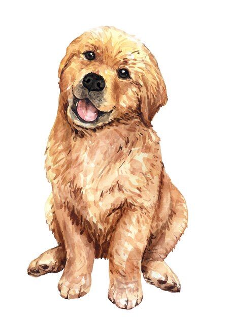 Retriever Illustration, Golden Retriever Illustration, Animal Art Painting, Neon Poster, Watercolor Blog, Watercolor Lettering, Watercolor Sketch, Watercolor Drawing, Dog Drawing