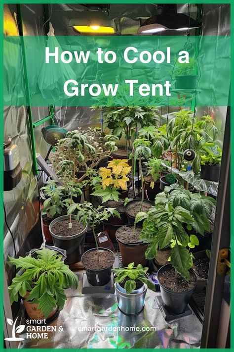 Ensure your grow tent stays cool by optimizing airflow, reducing heat sources, and using fans effectively. Consider mini air conditioners or moving the tent to cooler areas. Healthy plants thrive in the right conditions. Learn more at Smart Garden and Home. Grow Tents Indoor, Diy Grow Tent, Composting Methods, Heat Pump System, Grow Room, Gardening Techniques, Garden Compost, Smart Garden, Grow Tent