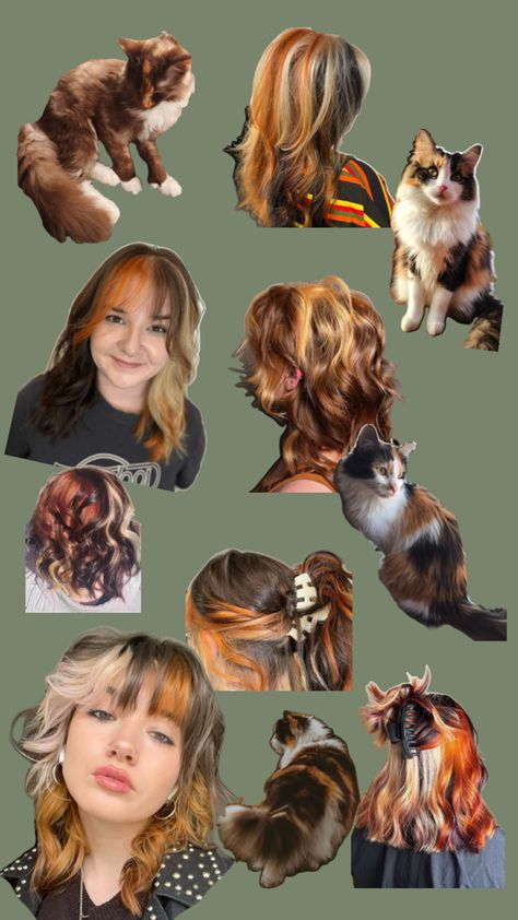 green background. pictures of calico cats and women with orange, black, and white hair. Fox Hair Dye, Hair Color Placement, Calico Hair, Hair Dye Videos, Vivid Hair Color, Dyed Hair Inspiration, Hair Inspiration Short, Hairstyles For Layered Hair, Mom Hairstyles