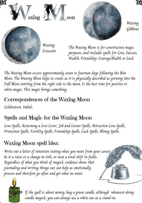 Moon Phase Meanings, Daily Witchcraft, Cast A Circle, Waning Gibbous Moon, Waxing Gibbous Moon, Divination Witch, Gibbous Moon, Mother Moon, Astrology Moon