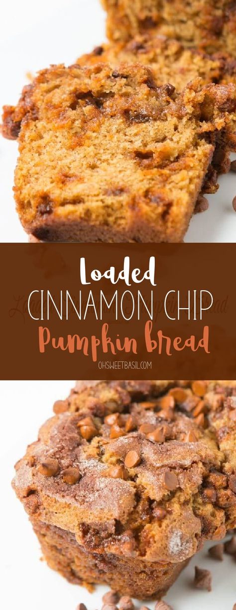 I don't care what day, month or even hour it is, I want this loaded cinnamon chip pumpkin bread for breakfast, lunch and dinner. It's seriously that good. Fruit Loaves, Fall Eating, Assorted Breads, Cinnamon Chip Recipes, September Recipes, Bread For Breakfast, Pumpkin Spices, Healthy Pumpkin Bread, Pumpkin Breakfast