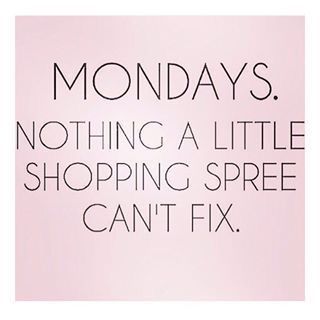 Funny Monday Memes, Online Shopping Quotes, I Hate Mondays, Monday Memes, Monday Humor, Shopping Quotes, Man Crush Monday, Monday Quotes, Memes Humor