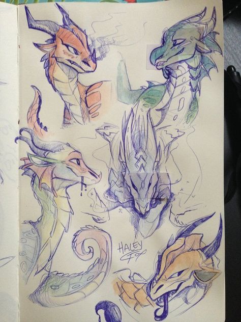 Drawing Dragons, Dragon Poses, Summer Child, Fire Drawing, Wings Of Fire Dragons, Dragon Sketch, Fire Art, Creature Drawings, Dragon Wings