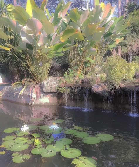 Ethereal Aesthetic, Fairy Aesthetic, Nature Green, A Pond, Nature Aesthetic, Pretty Places, Green Aesthetic, Lily Pads, Aesthetic Photo