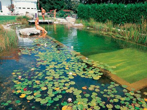 Get ready for fun in the sun!  - GoodHousekeeping.com Swimming Pool Pond, Natural Swimming Ponds, Green Pool, Stock Tank Pool, Tank Pool, Swimming Pond, Natural Pond, Natural Swimming Pools, Natural Swimming Pool