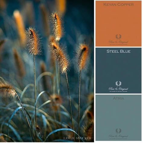 Pure And Original Paint, Copper Colour Palette, Copper Colour Scheme, Pure And Original, Teal And Copper, House Color Palettes, Color Schemes Colour Palettes, Room Color Schemes, Bohol