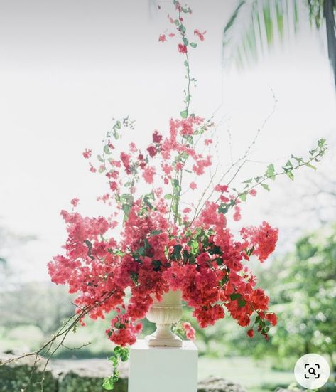 Pink Flower Garden Aesthetic, Bougainvillea Bouquet, Pink Bday, Bougainvillea Wedding, Tropical Wedding Centerpieces, Idea For Summer, Kualoa Ranch, Tall Wedding Centerpieces, Summer Garden Wedding